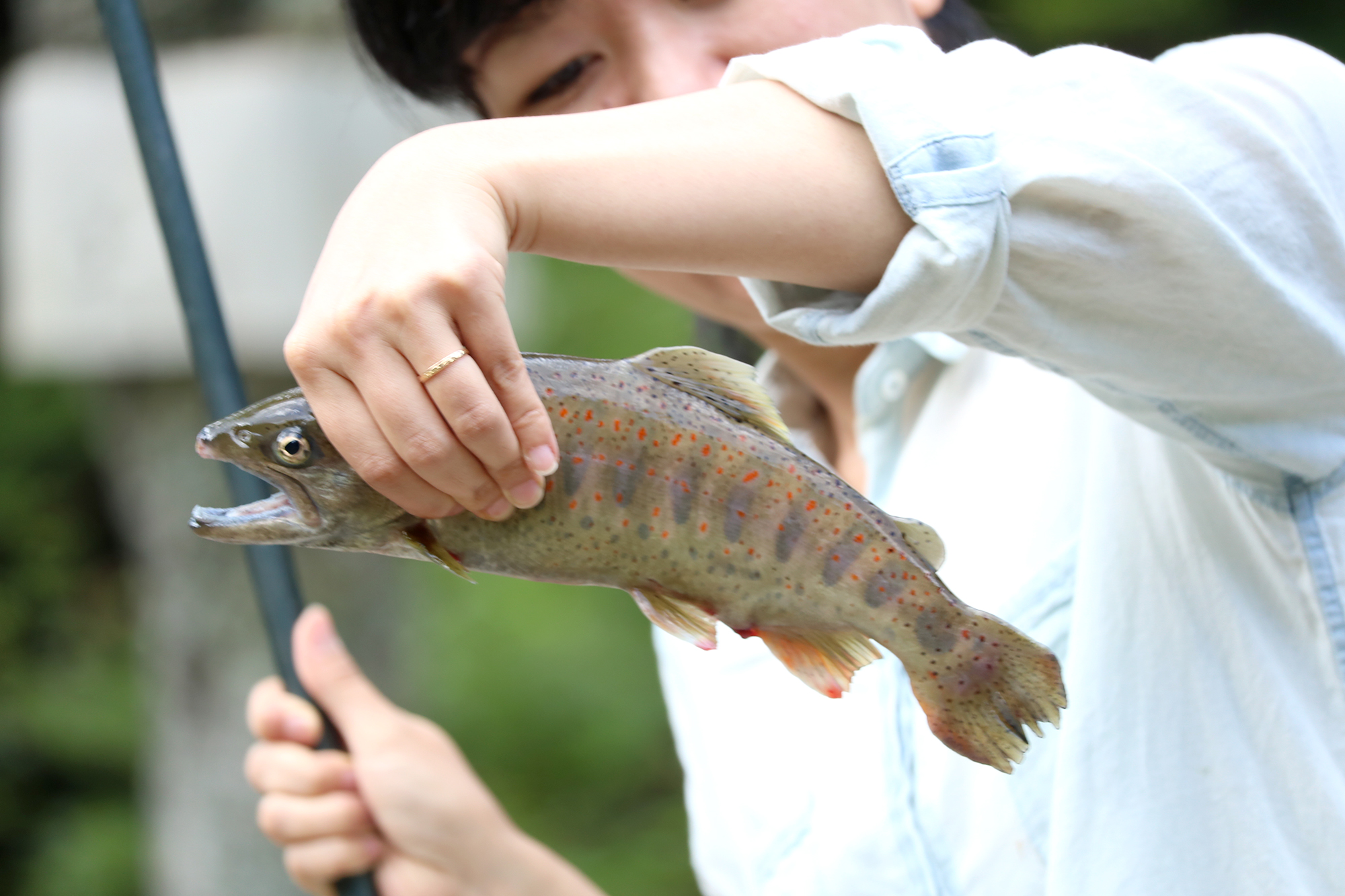 釣り初心者にもおすすめ 大自然の中でヤマメ釣り体験 大井川で逢いましょう