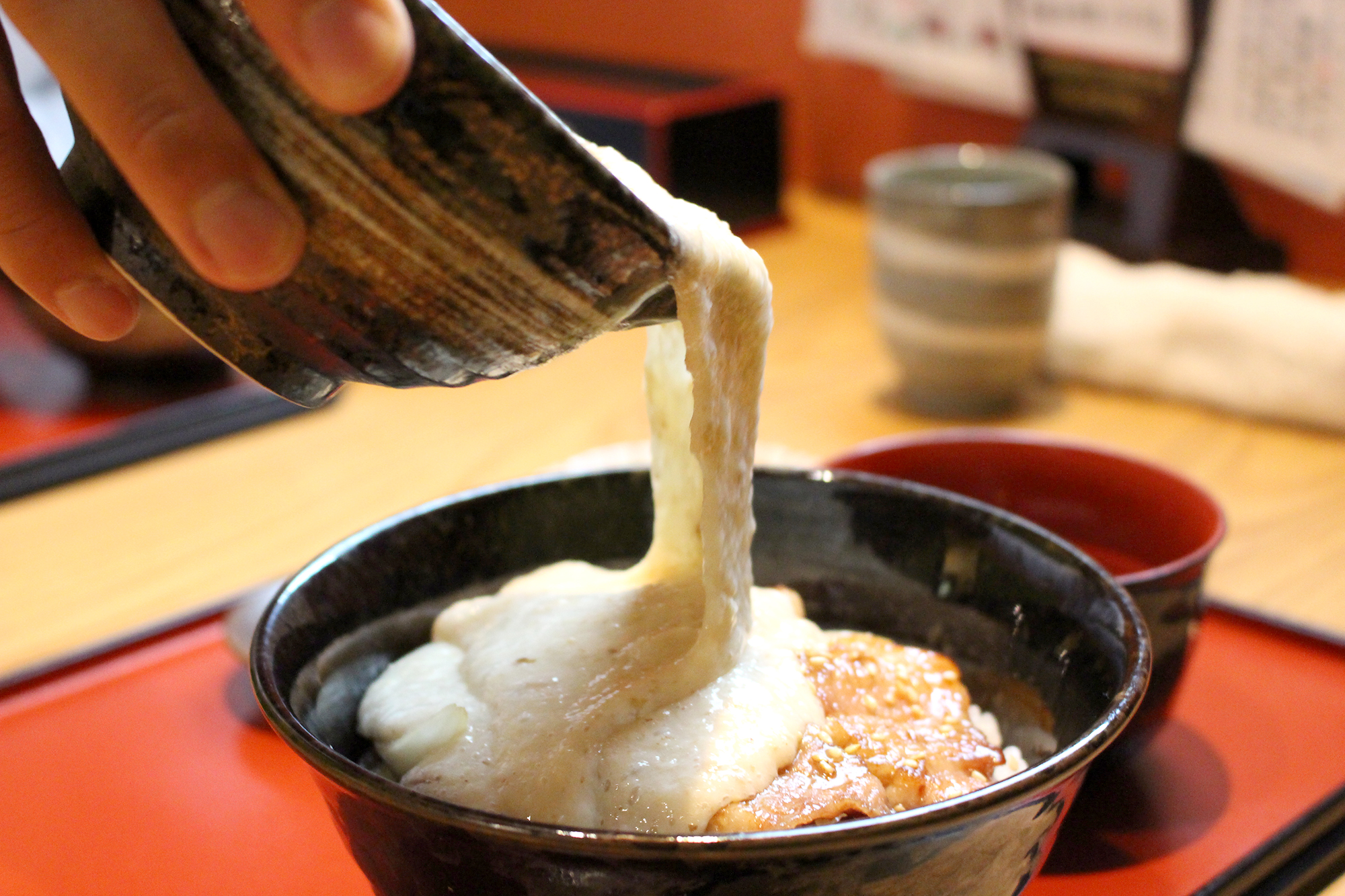 子どもと行きたい！大井川の自然薯農家レストラン | 大井川で逢いま