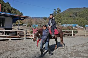 馬の優しさにほっこり。島田市で乗馬体験