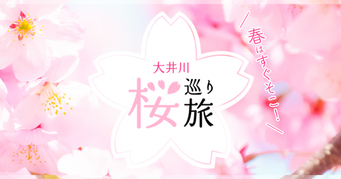 春はすぐそこ！大井川の桜巡り旅