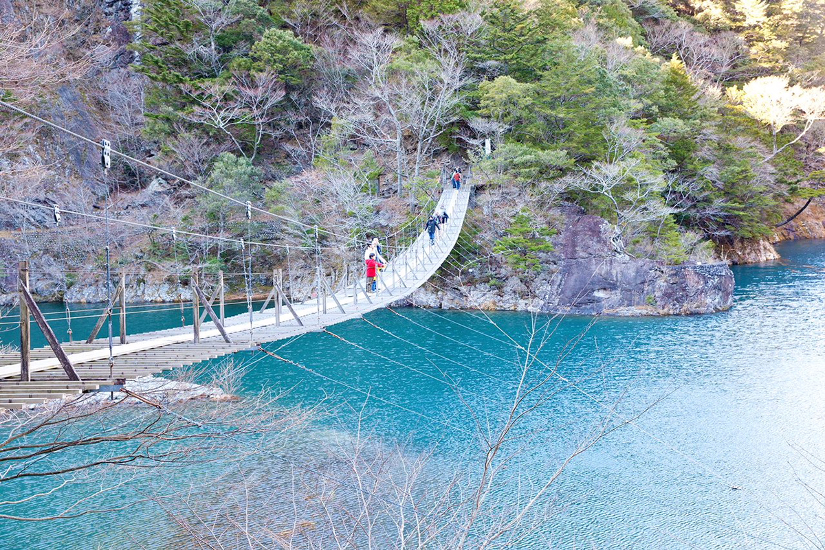 夢 の 吊り橋 落ち た 人