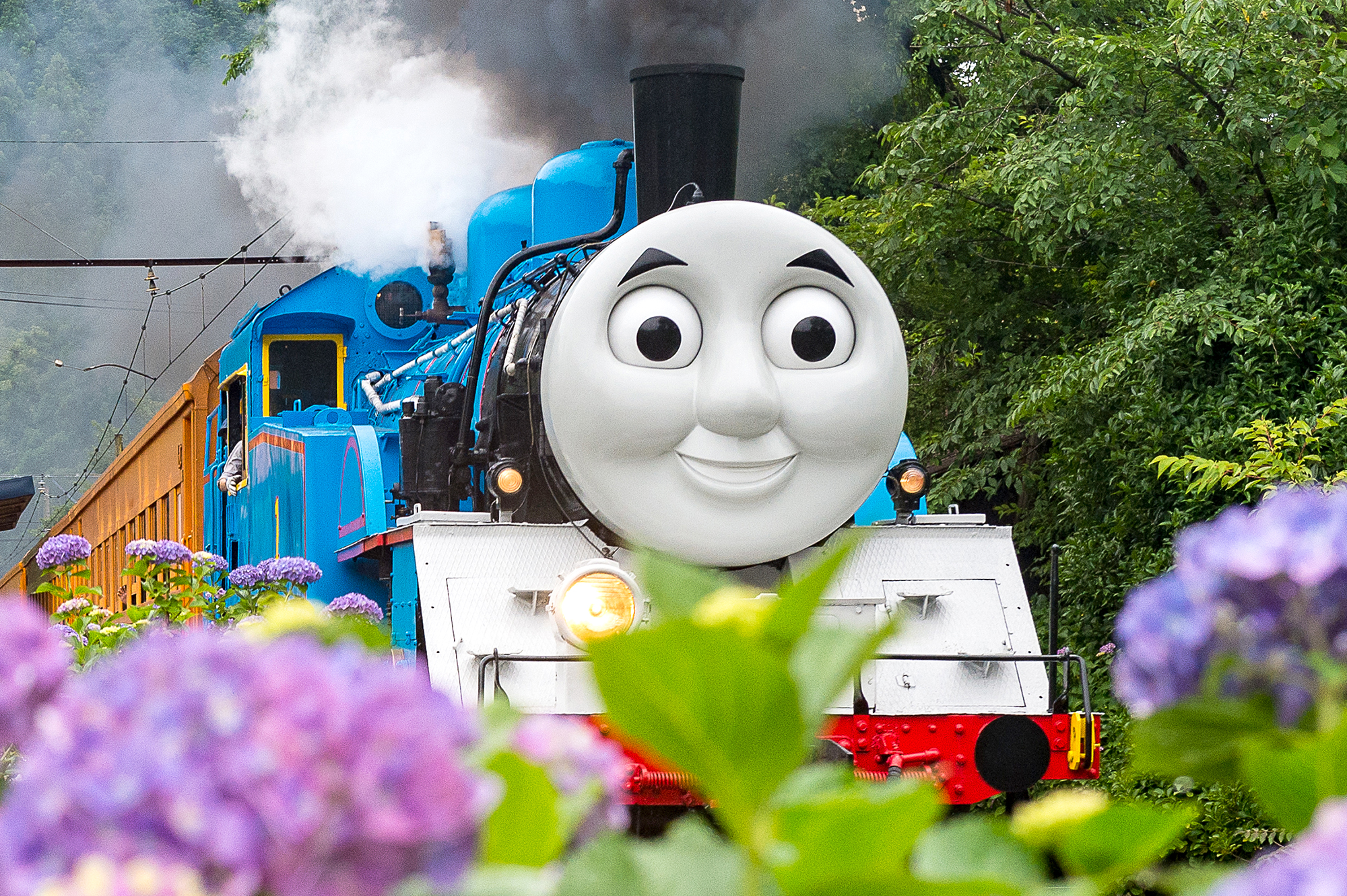 きかんしゃトーマス号とあそぼう♪おすすめブログ5選 | 大井川で逢いま