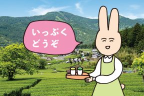 【キャンペーン】試飲できます、大井川のお茶！