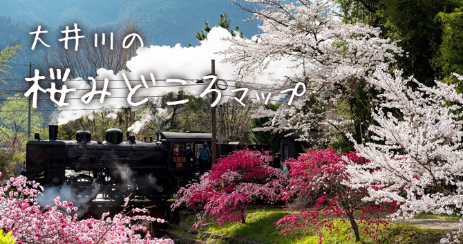 大井川の桜みどころマップ