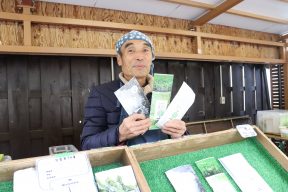島田市緑茶化計画 おちゃキャン♪参加店舗のご紹介「たむらのうえん」の緑茶