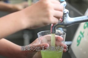 世界一緑茶を愛するまち、島田の緑茶あるある3選