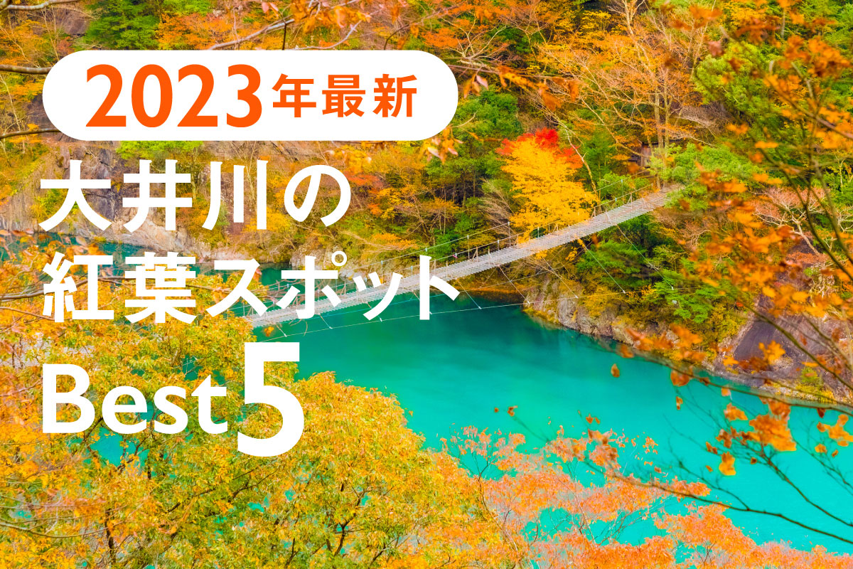 【2023年最新版】大井川の紅葉スポットBEST5